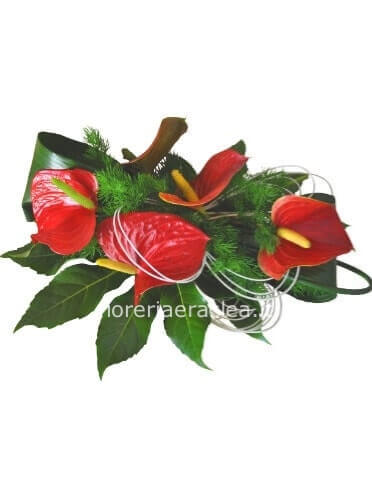 Centrotavola anthurium