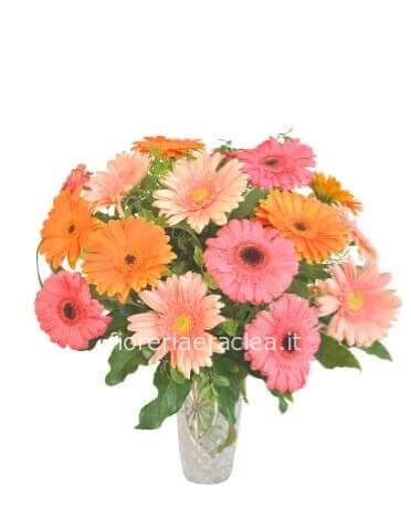 Bouquet di gerbere colori assortiti piccolo